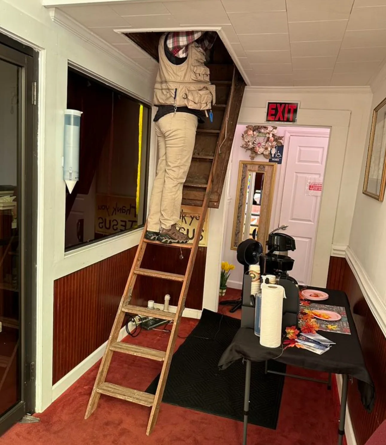 Attic Inspection