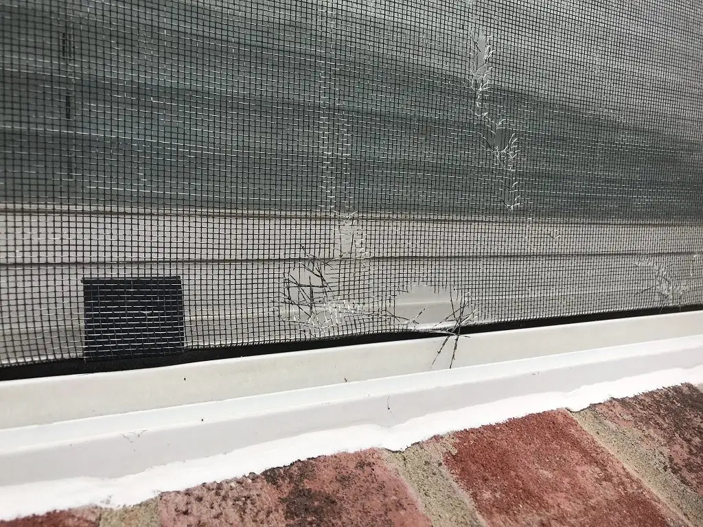 Window Screen Damaged by Hail