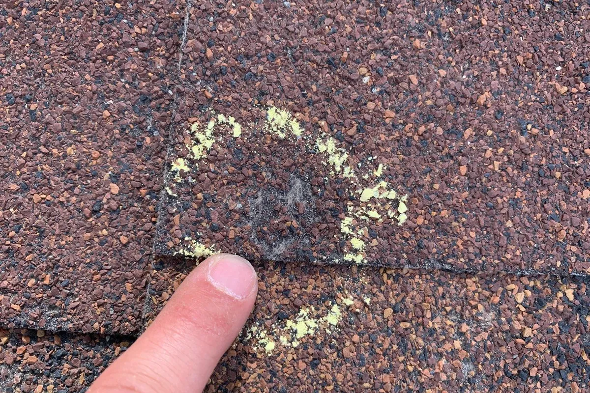 Close-up of granule loss and lichen on an asphalt shingle, a finger held alongside for scale